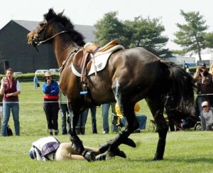 Rider on ground after falling off horse on eventing course.