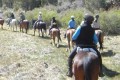 Cal_RockCreek_TrailLine3x3 Cal_RockCreek_TrailLine3x3