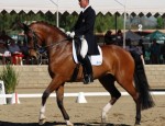 Jan Ebeling and Rafalca in collected trot.