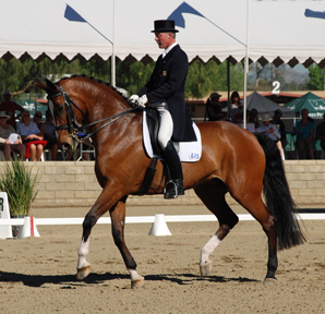 Jan Ebeling and Rafalca in collected trot.