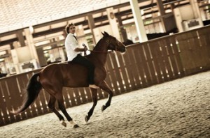 Author Ameer Jumabhoy, barefoot and bareback, canters across a polo arena.