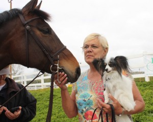 Linda Allen poses with the bay horse Miramar, and her Papillon pooch.