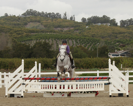 Young rider on a white horse jumps in an arena surrounded by verdant hills and farmlands, at the El Sueno Equestrian Center in Somis.