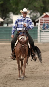 Tony Lama High Point-winner Tim Phillis rides his western-broke mule Tuff Stuff at a walk.