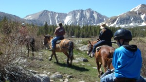 A string of horseback riders of all ages trek through California's High Sierra in single-file formation.