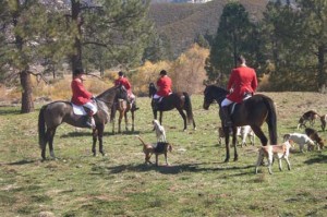 Santa Fe Hunt members and their horses and hounds in a grassy field near Temecula, California.