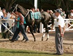 SantaAnita_JohnShear2 SantaAnita_JohnShear2