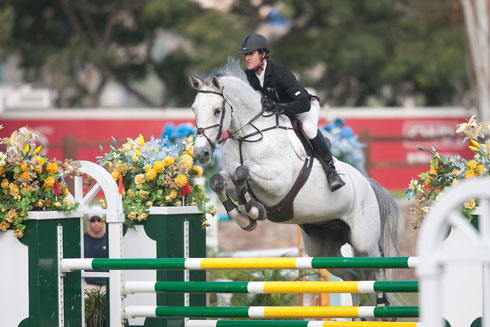 Harley Brown rides his huge grey horse Cassiato over a green and yellow jump.