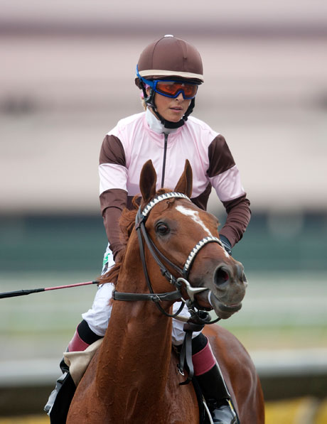 Chantal Sutherland's brown and pink silks perfectly complement her chestnut mount.