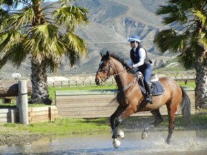 Melanie Mullens and her horse McLaren tackle a water obstacle at Novice Level.