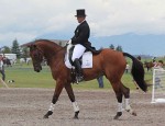 Galway_Day2_Davidson_article Bruce Davidson and Ballynoe Castle RM compete in the dressage phase of a three-day event.