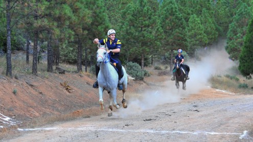 ReynoldsRacing_featuredimage Jeremy Reynolds gallops across the finish line on his gray Arabian at the NAERTC championship, with another rider in hot pursuit.