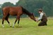 WarHorse_16x9 Actor Jeremy Irvine feeds his horse Joey in a field.