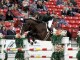 Karl Cook and Johkheer Z fly over a jump at the Las Vegas National Grand Prix.