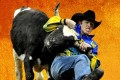 Graphically-enhanced image of a cowboy wrestling a steer.