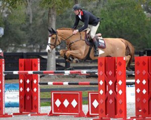 Andre Thieme going over a bright red jump on his horse Cesar.