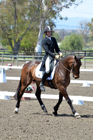 James Alliston and Jumbo's Jake compete in dressage