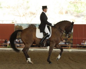 Guenter Seidel and Fandango perform piaffe.