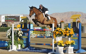 Jill Henselwood and IV Ever in mid-air over a massive oxer.