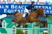 Reed Kessler and Cylana jump a bright green oxer built on a "house" motif.
