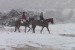 Riders on horseback in the Southern California snow