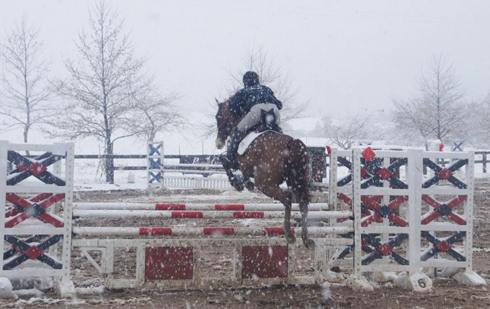 Erin Murphy and Sunrijse Sonata, as seen from rear, clear a jump in the snow.