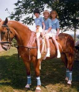 Three blue-shirted kids aboard a sorel horse.