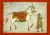Middle Eastern painting of a white horse being led by a groom.