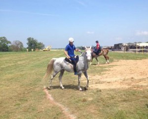 Jeremy Reynolds and his grey arabian A Kutt Above.