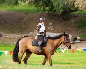 Gayleen Sharon riders her off-track-Thoroughbred, a beautifully-marked chestnut with a black mane, tail and legs.