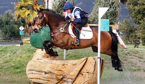 Barb Crabo and her little bay horse Over Easy jump a log.