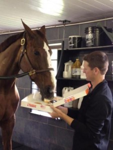 Sapphire eats from a Dunkin' Donuts box held by McLain Ward.