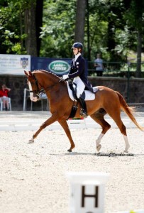 Caroline Roffman executes an extended trot on her chestnut horse.