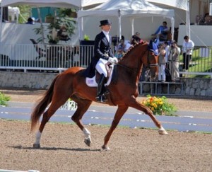 Heather Blitz puts Paragon through an extended trot.