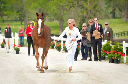 Wearing an elegant white suit and heels, Karen O'Connor leads Mr. Mendicott on the veterinary jog.