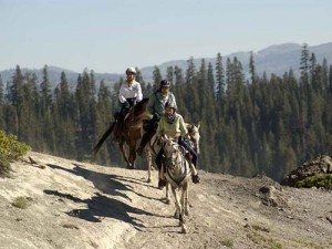 Three trail riders clear a ridge in the Lake Tahoe mountains.