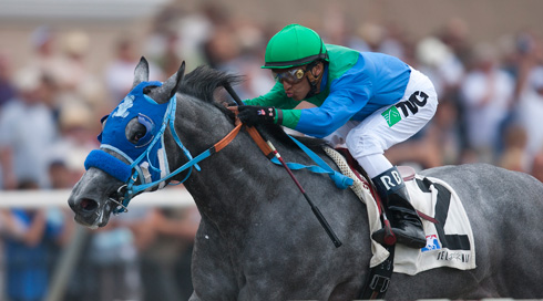 Grey Thoroughbred Creative Cause racing with colorful blue and green silks.