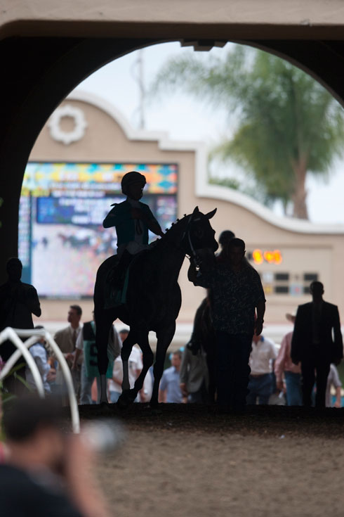 Dramatic silhouette of a jockey up at Del Mar.