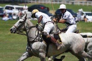 Fast-paced polo action.