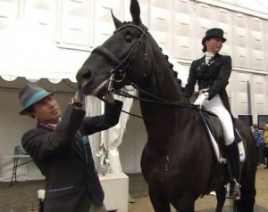 The beautiful black horse Santana has a glass eye.