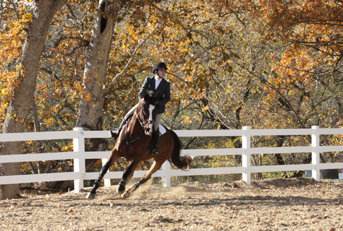 Hunter rider in the arena at Malibu Creek Equestrian Center.