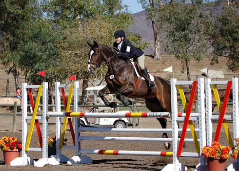 Julie Flettner and Ping Pong show jumping at Galway Downs.