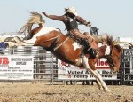 Saddle bronc champ Joaquin Real lets 'er rip on a Paint mount.