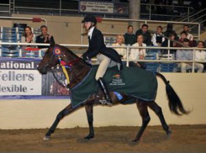 Jenny Karazissis and Jamestown gallop around the indoor ring at the L.A. Equestrian Center wearing the green victory cooler.