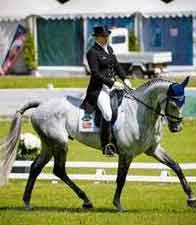 Mary Little and her grey horse Smoke on the Water compete in the dressage phase of three-day eventing.