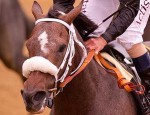 Oxbow races across the finish line.