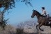 Sara Warner and Tower ride hills of Southern California under bright blue skies.