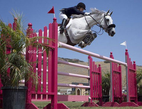 Rider and her snowy grey horse clear a bright crimson oxer.