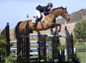 Paige Dotson flies over a jump on her bay horse.