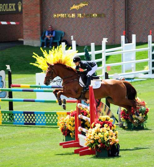 Cadett 7 blazes bright red in the sun on course at Spruce Meadows with rider Ashlee Bond.